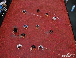 澳吃辣椒大赛(世界吃辣椒大赛冠军)