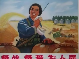 为国家而战(为国家而战英语)