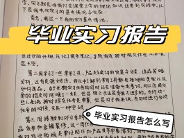 关于广告公司实习报告的信息