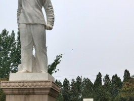 刘胡兰观后感(刘胡兰观后感300字可抄)