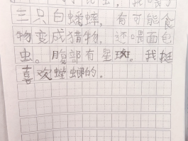 关于虫子的作文(虫子作文600字)