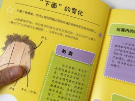 青春期解读(1小时读懂青春期)