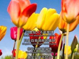透支的爱情(透支的爱情原原结婚了吗)