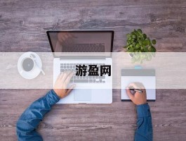 关于游盈网的信息