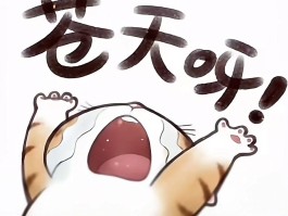 伤不起歌词(伤不起歌词王麟演唱)