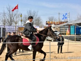 骑马俱乐部(骑马俱乐部收费价格表)
