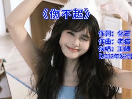 伤不起王麟视频(伤不起王麟视频下载)