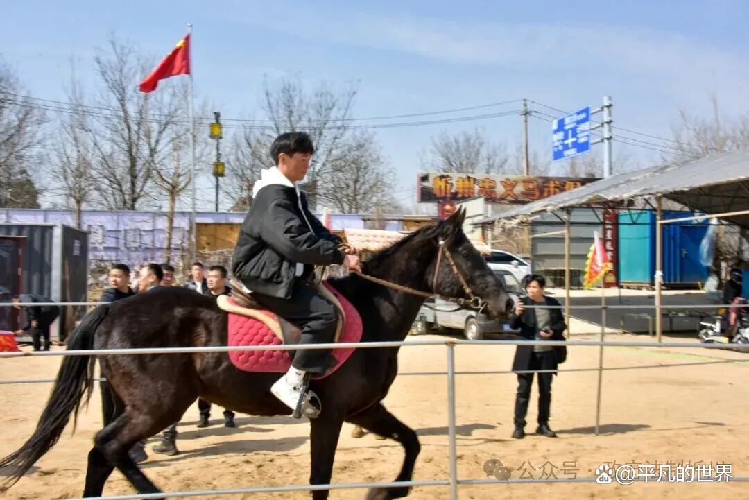 骑马俱乐部(骑马俱乐部收费价格表) 骑马俱乐部(骑马俱乐部收费价格表)