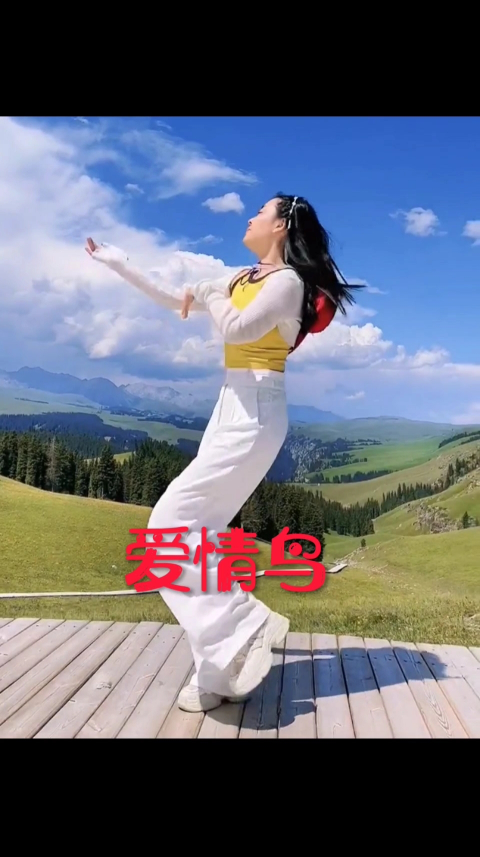 爱情鸟歌词(歌曲爱情鸟歌词) 爱情鸟歌词(歌曲爱情鸟歌词)