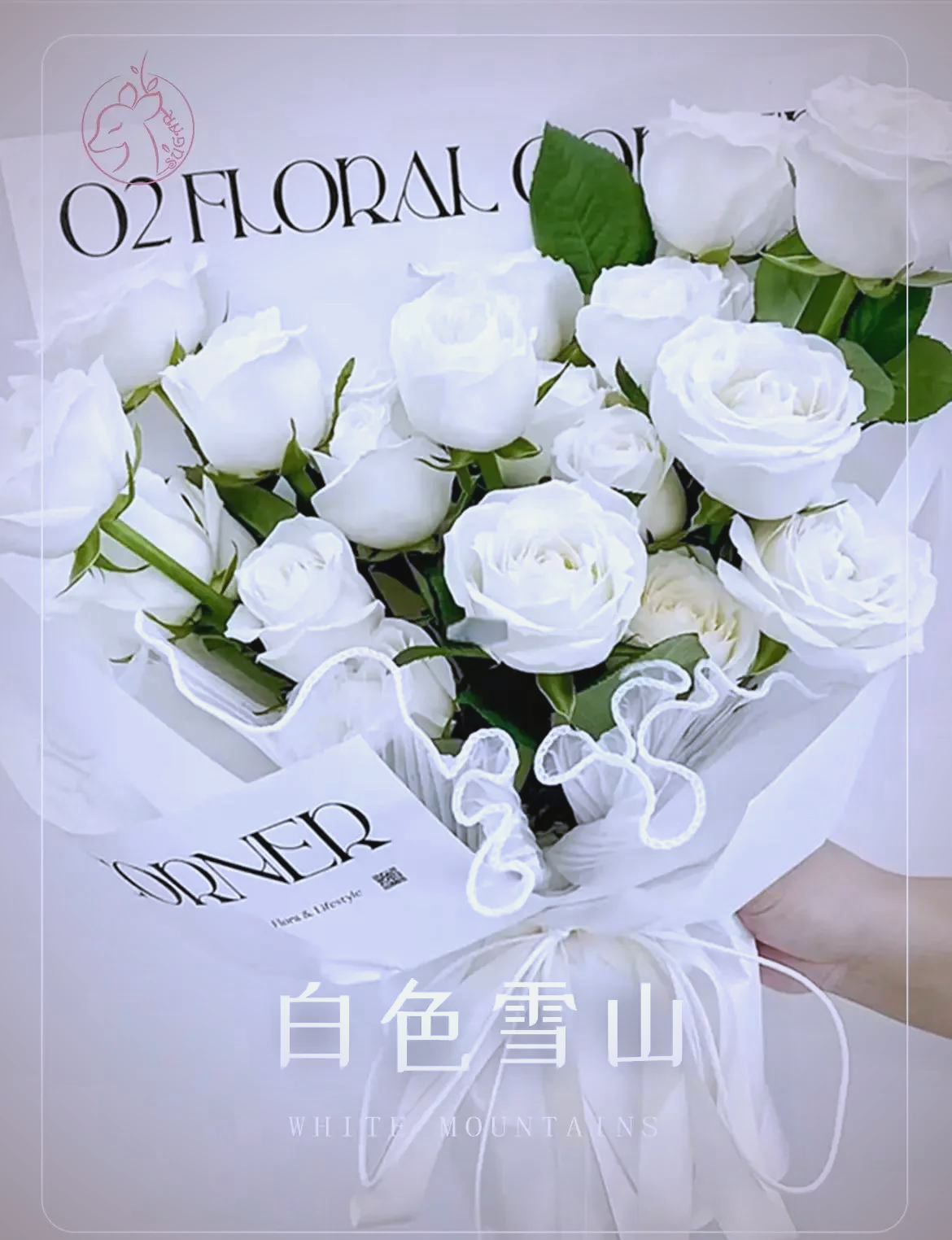 白玫瑰代表什么(男人送的白玫瑰代表什么) 白玫瑰代表什么(男人送的白玫瑰代表什么)