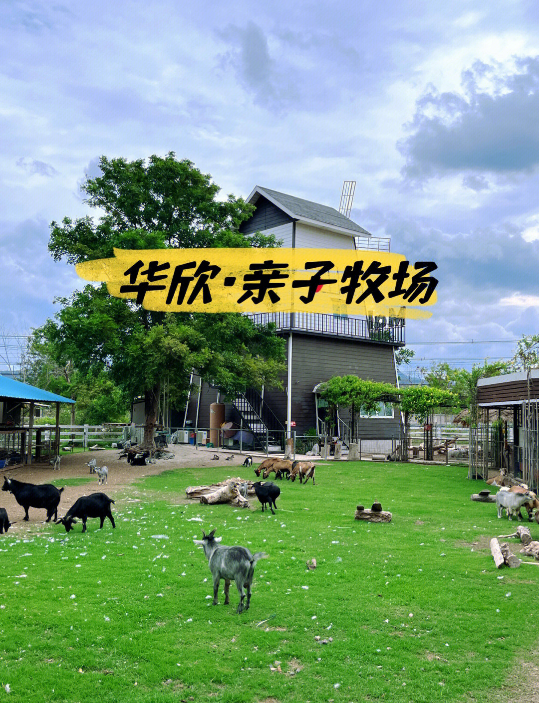 牧场养什么升级最快(牧场改版后养什么好点) 牧场养什么升级最快(牧场改版后养什么好点)