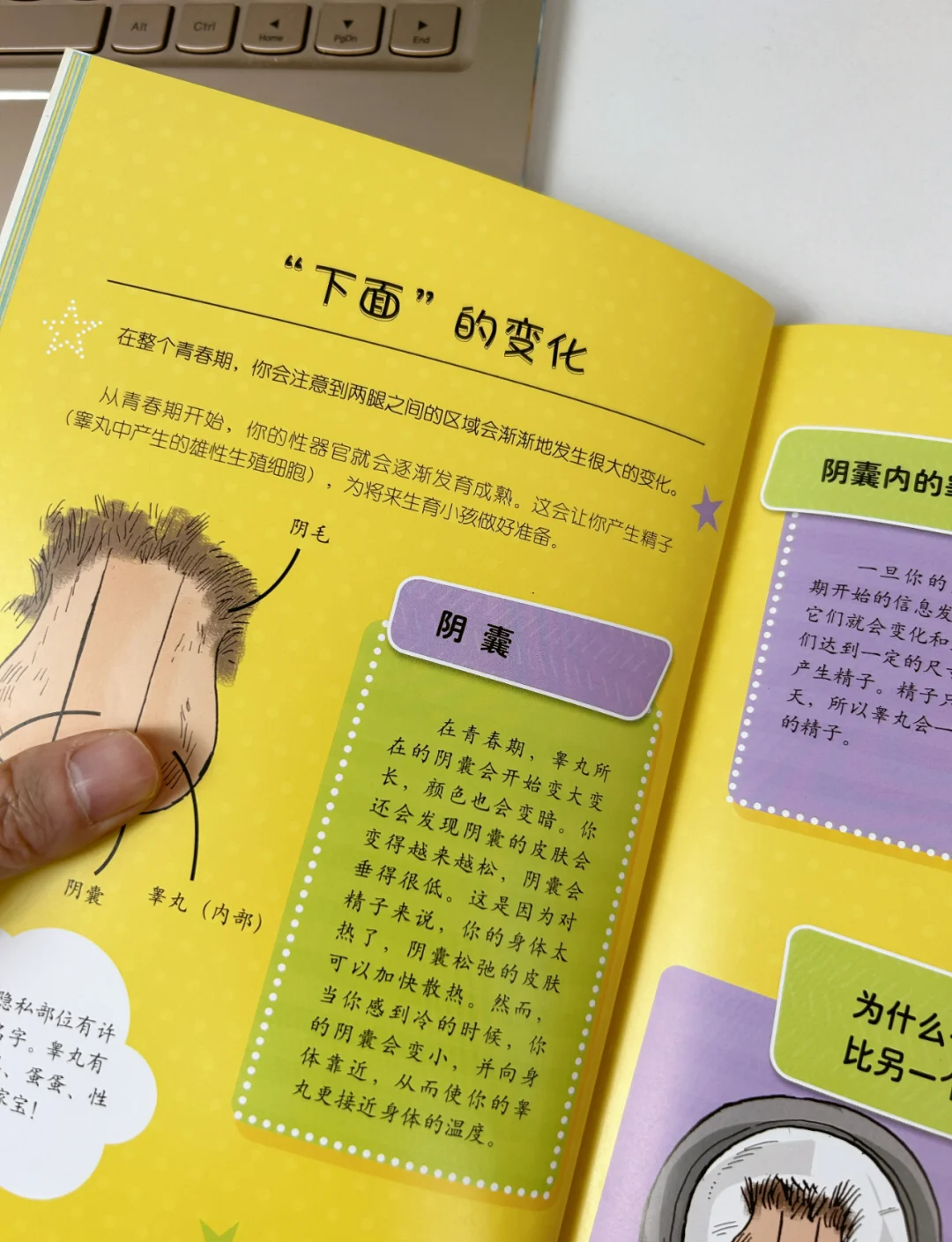 青春期解读(1小时读懂青春期) 青春期解读(1小时读懂青春期)